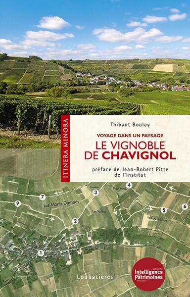 Picture of Le vignoble de Chavignol