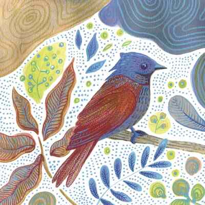 Picture of Lot de 10 cartes simple "oiseau bleu" avec enveloppe sous cellophane