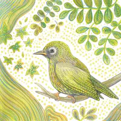 Picture of Lot de 10 cartes simple "oiseau jaune" avec enveloppe sous cellophane