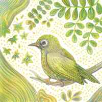 Picture of Lot de 10 cartes simple "oiseau jaune" avec enveloppe sous cellophane