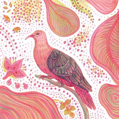 Picture of Lot de 10 cartes simple vernis selectif  "Pigeon rose" avec enveloppe sous cellophane