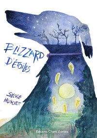 Image de Blizzard d'étoile