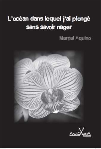 Image de Océan dans lequel j'ai plongé sans savoir nager (L')