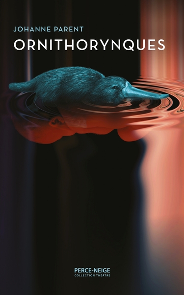 Image de Ornithorynques