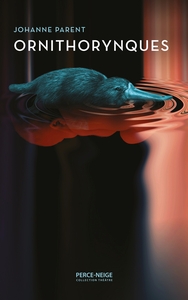 Image de Ornithorynques