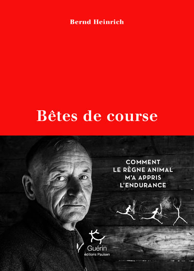 Image de Bêtes de course