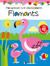 Picture of Flamants