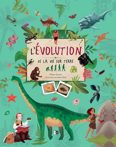 Image de l'Evolution de la vie sur terre