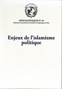 Image de Enjeux de l'islamisme politique