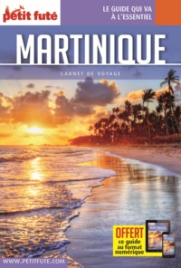 Picture of Guide Martinique 2023 Carnet Petit Futé