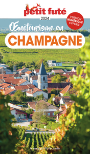 Image de Oenotourisme en Champagne 2024 Petit Futé