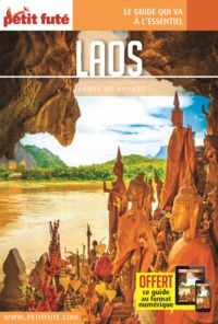 Image de Guide Laos 2019 Carnet Petit Futé