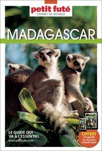 Image de Guide Madagascar 2022 Carnet Petit Futé
