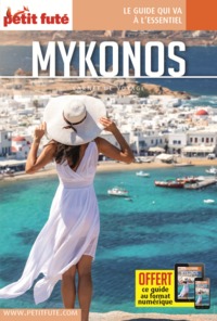 Picture of Guide Mykonos 2022 Carnet Petit Futé