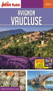 Image de avignon - vaucluse luberon - ventoux 2020 petit fute+offre num