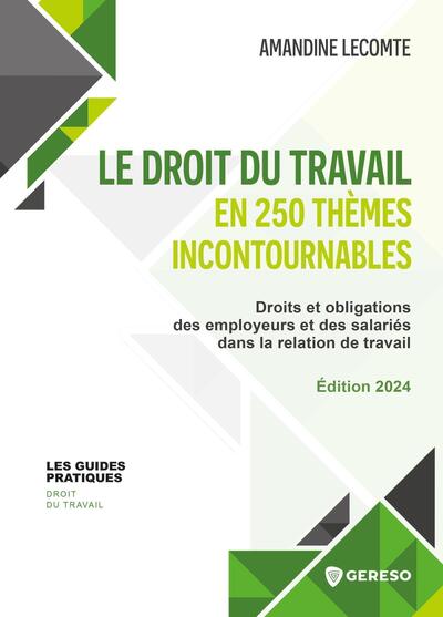 Picture of Le droit du travail en 250 thèmes incontournables