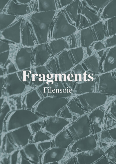 Picture of Fragments