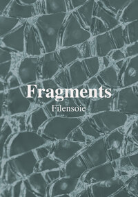 Picture of Fragments