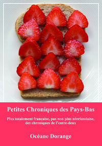 Image de Petites Chroniques des Pays-Bas