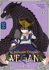 Picture of Le Puissant Dragon vegan T04