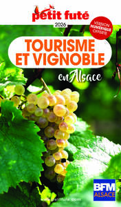 Image de Guide Tourisme et vignoble en Alsace 2026/2027 Petit Futé