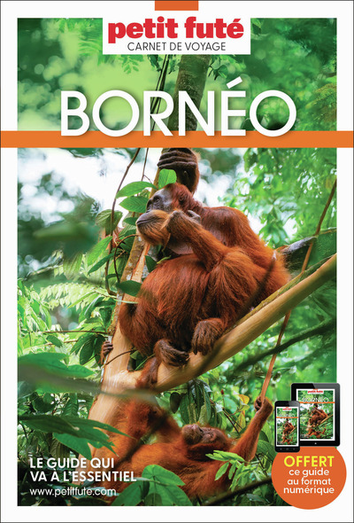 Image de Guide Bornéo 2026 Carnet Petit Futé