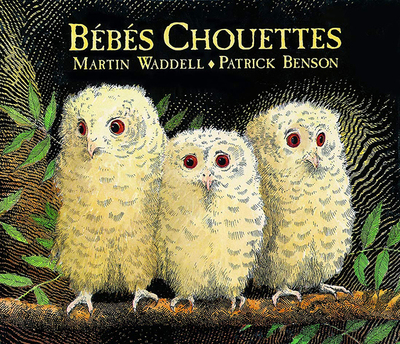 Picture of Bébés Chouettes