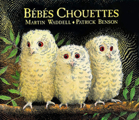 Picture of Bébés Chouettes