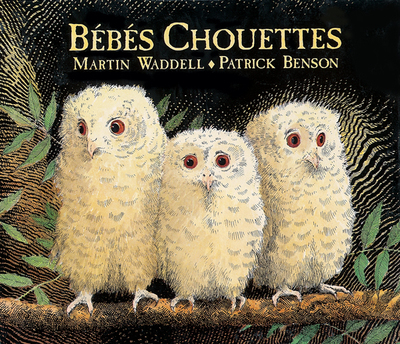Picture of Bébés Chouettes
