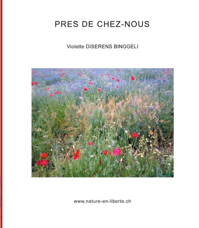 Picture of Près de chez-nous