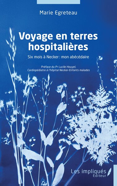 Picture of Voyage en terres hospitalières