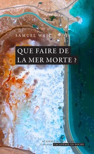 Picture of Que faire de la mer morte ?