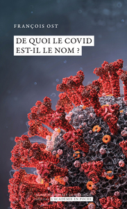 Picture of De quoi le Covid est-il le nom ?