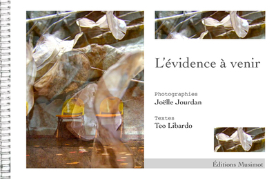 Picture of L'évidence à venir