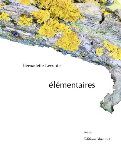 Picture of Élémentaires