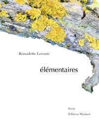 Picture of Élémentaires