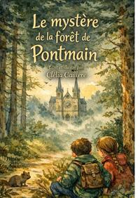 Picture of Le mystère de la foret de Pontmain