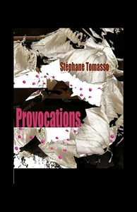 Picture of Provocations
