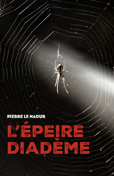 Image de L'Épeire diadème