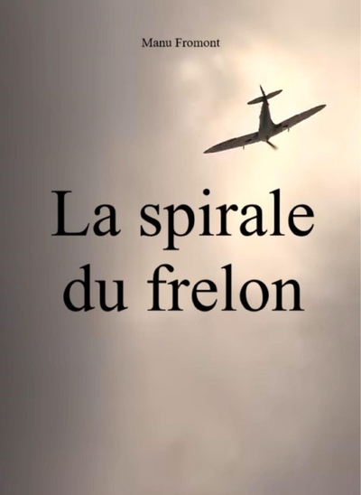 Picture of La Spirale du frelon