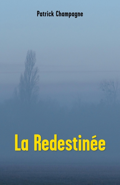 Picture of La Redestinée