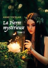 Image de La Pierre mystérieuse
