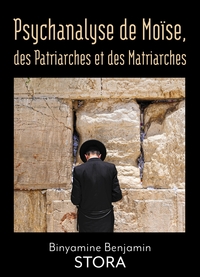 Picture of Psychanalyse de Moïse, des Patriarches et des Matriarches