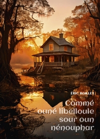 Picture of Commé ouné libelloule sour oun nénouphar