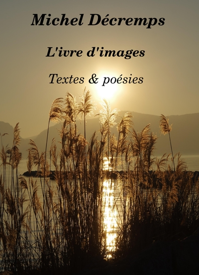 Picture of L'Ivre d'images