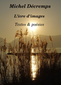 Picture of L'Ivre d'images