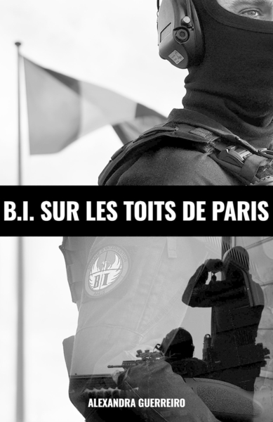 Image de B.I. sur les toits de Paris