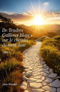 Picture of De Tendres Cailloux Blancs sur le chemin de mon âme