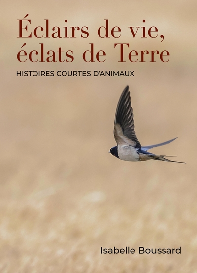 Picture of Éclairs de vie, éclats de Terre