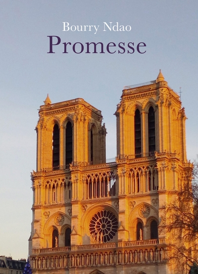 Picture of Promesse